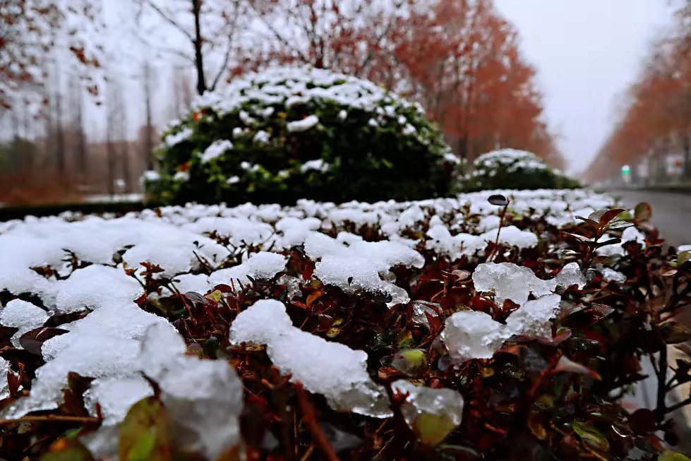 初雪已至，預(yù)見不如遇見